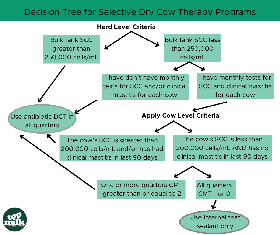 Decision Tree for Selective Dry Cow Therapy Programs.png